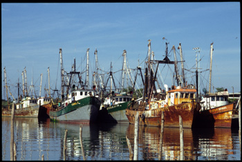 san blas-02.jpg